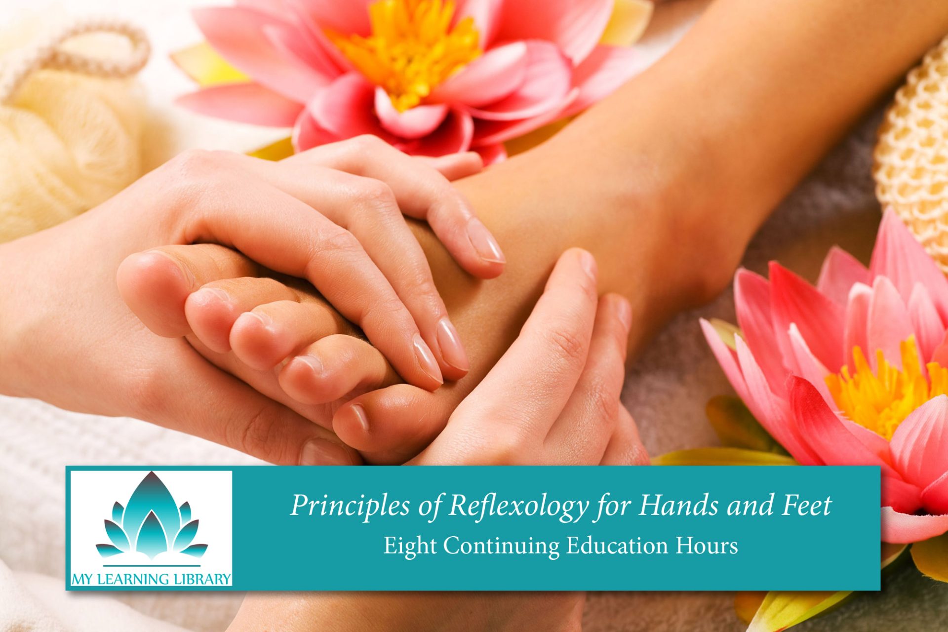My Learning Library Releases New Reflexology Course MASSAGE Magazine